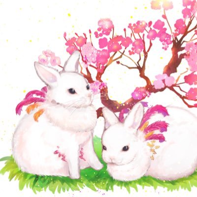 瑠璃飛さんのプロフィール画像