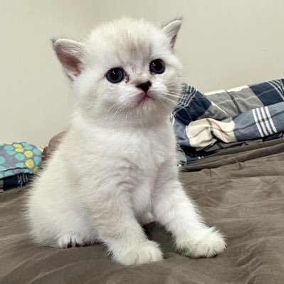 pnymai's profile picture. 2JAN