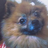 Riki (@oklfzbxwdroyo7y) 's Twitter Profile Photo Riki (@oklfzbxwdroyo7y) 's Twitter Profile Photo