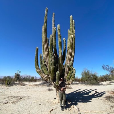 oasisdehorror's profile picture. 🇵🇸