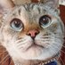 おむたんめん (@omutantanmen) Twitter profile photo おむたんめん (@omutantanmen) Twitter profile photo