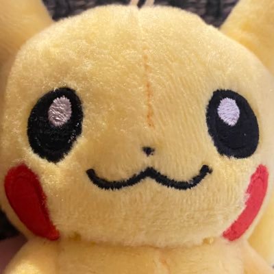 pop_ponchan's profile picture. ピカ•モル•むっちゃん•パヤモの4匹と暮らすニンゲン🐥ぬい服作りや裁縫などなど作るの大好き✂️🧵無言フォロー失礼します🙏