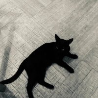 Note (@cnuenab) 's Twitter Profile