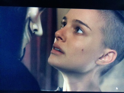 spr3adkn0wl3dg3's profile picture. 