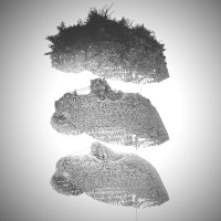 MEZ (@mez__rab) 's Twitter Profile