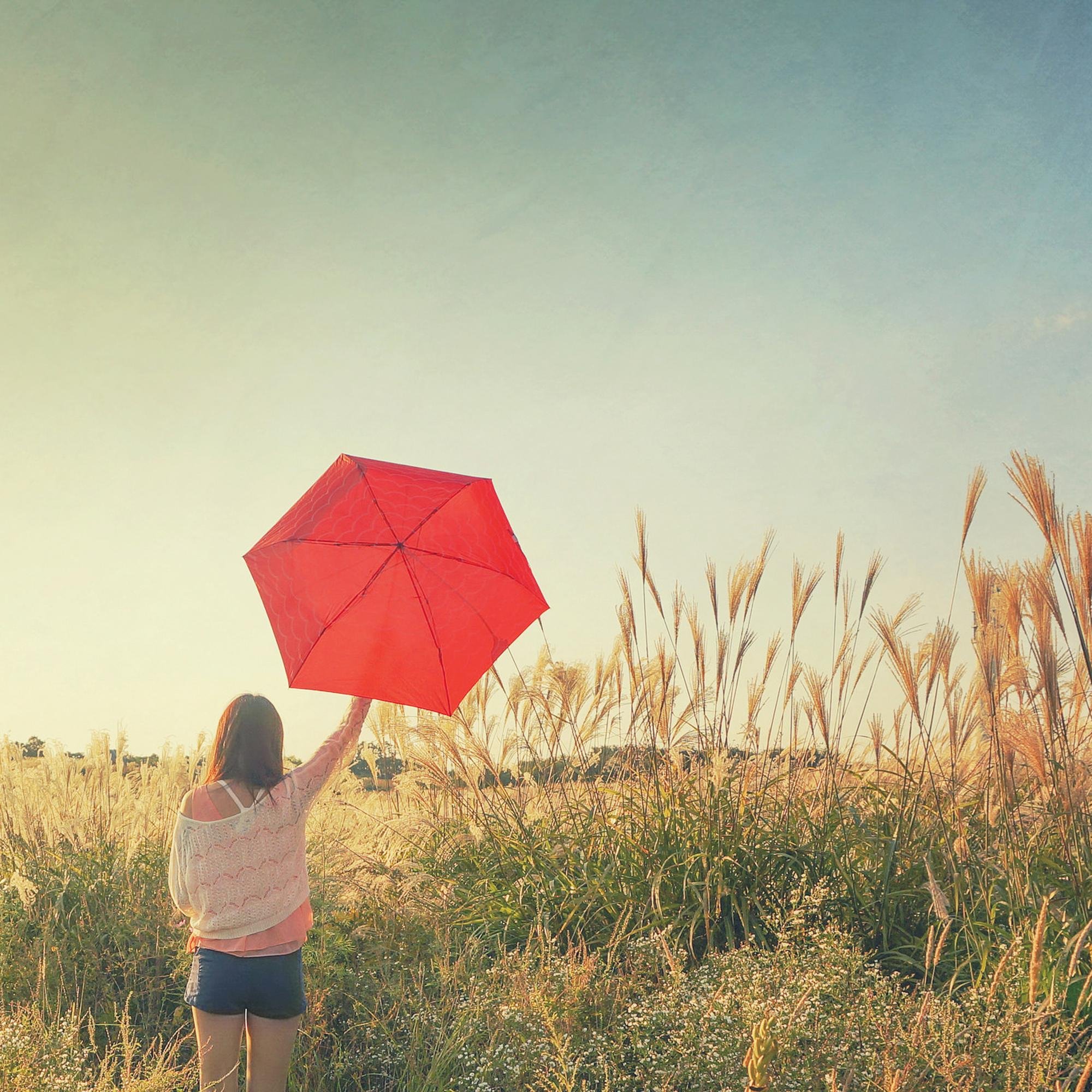 VPennd7980's profile picture. I want to hold your hand and give you a big slap in the face when you can't fight back.