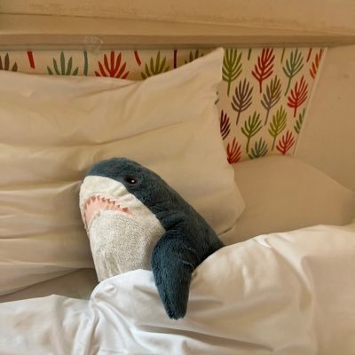 smsm_nikoniko's profile picture. 大好きなサメとその仲間たちをあげるアカウント。