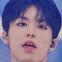 ☆。‧˚˖Har's Woo🫧𓆡⋆.✧˚𓆉 (@jewoolfiee) 's Twitter Profile