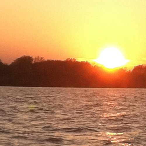 aliciae1130's profile picture. 