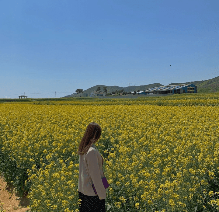 hitomi418168825's profile picture. お金を引き寄せる秘訣や副業情報など発信中。自身がお金に苦労した経験からお金に困窮している人を助けたいと思い、小規模ですが現金配布企画を始めました♪ 詳しくはこちらから➡ https://t.co/LyLmaWMAwa