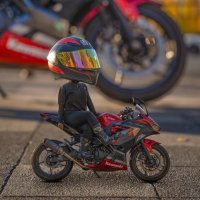 みくちんたむ🐰NINJA400 (@mikuchintamu) 's Twitter Profile