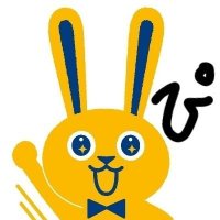 ぴ@減税したら買物いっぱいするよ経済回すから (@pyo_pyo_pyo__2) 's Twitter Profile