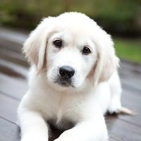 Misti Sonia (@mistisonia80497) 's Twitter Profile