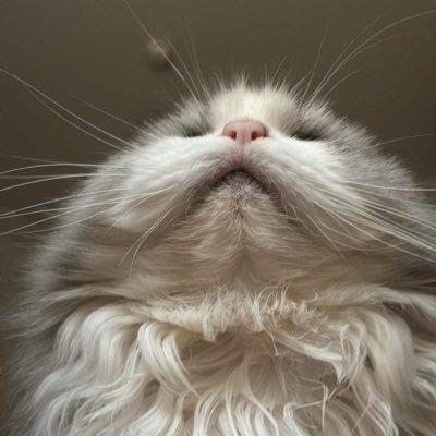 cindy_bern89975's profile picture. 