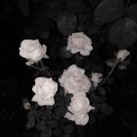 𝓝 (@__hjnl05) Twitter profile photo