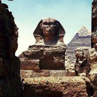 Mahmoud kont (@mahmoudade25855) 's Twitter Profile