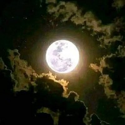 Fire3Mike16388's profile picture. 