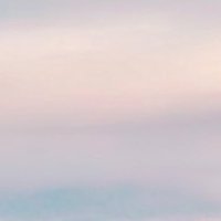 🫧_取引 フォロリク◎ (@trhk_2j) 's Twitter Profile