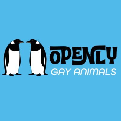 OpenlyGayAnimals Profile
