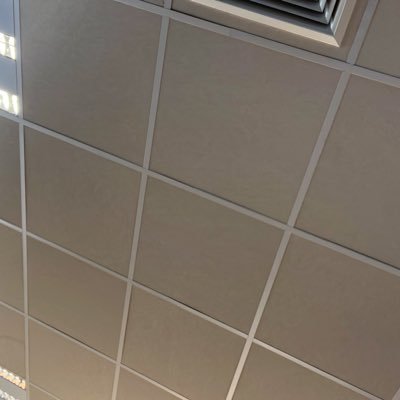 haythomaslol's profile picture. 