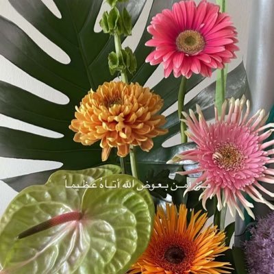 hdlmyry398920's profile picture. 