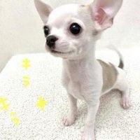 -0417 eda (@0417_eda) 's Twitter Profile Photo