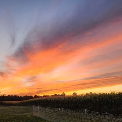 LoriPoteetPhoto's profile picture. Former sports photographer, Disney  World  fanatic, obsessed with organic gardening. Greensburg in.🌎  ♻️ .