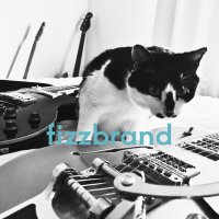 fizzbrand (@fizzbrand__) 's Twitter Profile