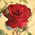 Delwar Hussain (@dilu_delwar) Twitter profile photo Delwar Hussain (@dilu_delwar) Twitter profile photo
