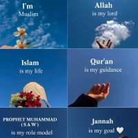 Habeebullah (@qwise1) 's Twitter Profile