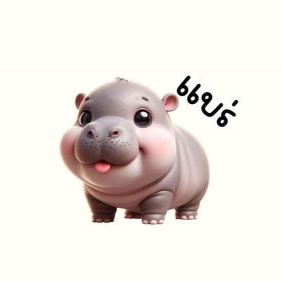 my_shoppingall's profile picture. 