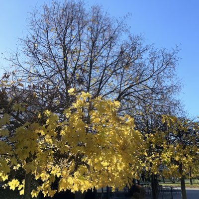 softuuretain's profile picture. Software Engineer - Java