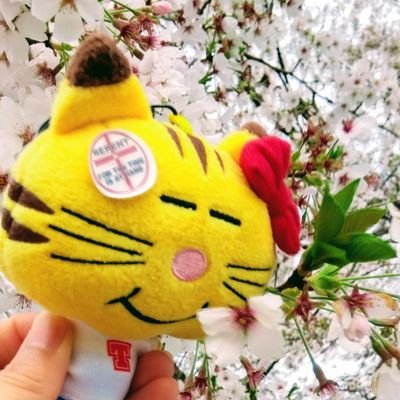 まっす〜大好き💛優しい声ダンス人柄想い💓素敵な手 全て愛おしい💕
NEWS💜💛💚3人ℓσνє♡*
アラヒィフで一緒に参戦✨聖地巡りできるお友達歓迎。
フォロ〜ご自由に。相互は成人で🙏
Twitterゆる〜りと。返信はゆっくりやってます童顔なおばちゃん❣