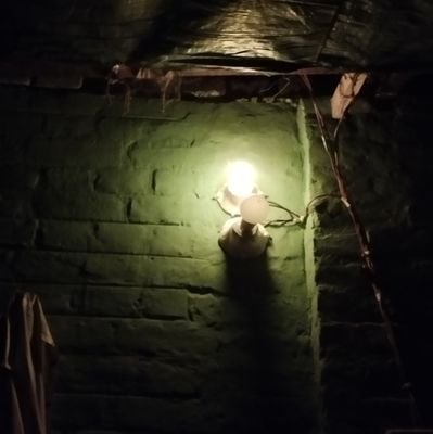 ihanH178756's profile picture. 