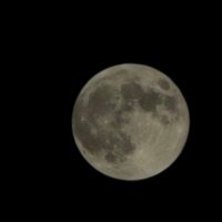 별자리운세 (@horoscope828) 's Twitter Profile Photo