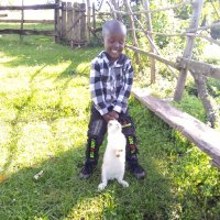 Ambrose Nyaris (@nyarisambrose) 's Twitter Profile Photo Ambrose Nyaris (@nyarisambrose) 's Twitter Profile Photo