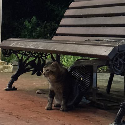 dyraven4825's profile picture. 想做個有愛心 又溫暖的處女座♍️