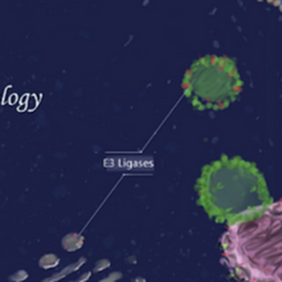 AnoopKumar40042's profile picture. 