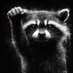 Wildlife🪂🪖 (@rfwild1) Twitter profile photo