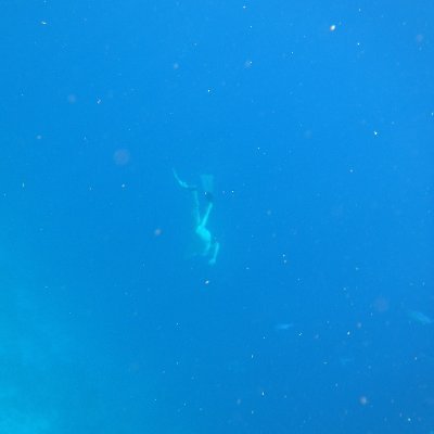 slim_janey's profile picture. Freedom lover. Fiercely independent. Free thinking. Anti Globallist 🇬🇧