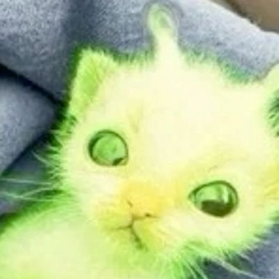 kwshnpresident's profile picture. semi active