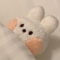白うさぎ (@monaka_889) 's Twitter Profile