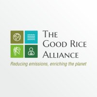 The Good Rice Alliance (@bayerrcp) 's Twitter Profile