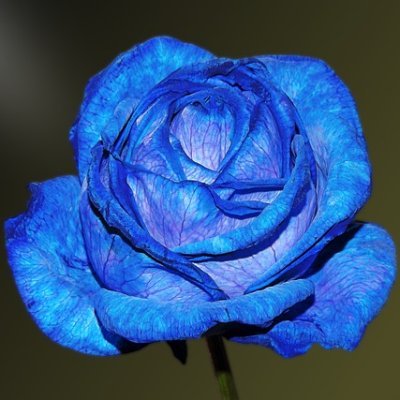 ehwDiXnZk982023's profile picture. TRPGとソロジャーナルどちらも始めたて。メギドの非公式カップリングの話とかもします
とっくの昔に成人済み