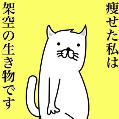 お手柔らかに🚗