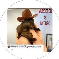 Robin Chapman (@robin101962) 's Twitter Profile