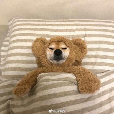 uwkzLHgVcktikFB's profile picture. 