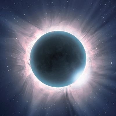 jordymiesen's profile picture. survivor off the Cryptopia hack 2019