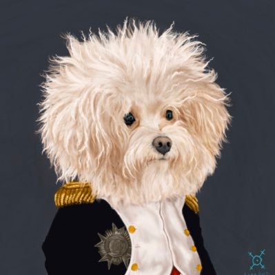 PoetofAnamCara's profile picture. 