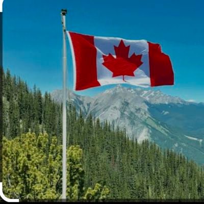 Canada_First_TO's profile picture. Canadian values are a priority  Exposed facts which are against Canada
 Discuss Indian invasion Elaborate Indian scams